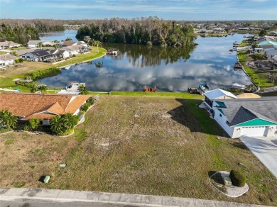 Lake Lot For Sale in Sun City Center, Florida