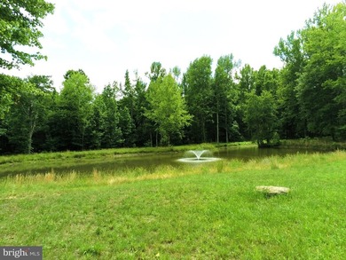 94-Acre Equestrian Estate & Event Venue Opportunity - Offered at - photo 38