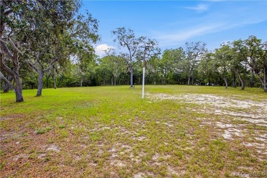 Welcome to this unique country-style property located in - photo 47
