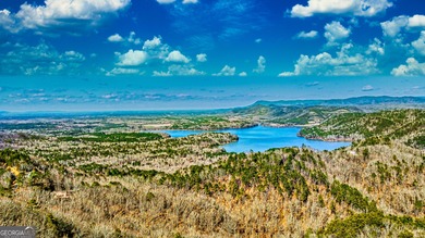 Carters Lake Lot Sale Pending in Ranger Georgia