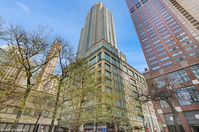 Lake Michigan - Cook County Condo For Sale in Chicago Illinois