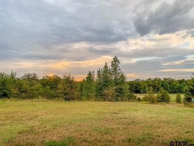 Beautiful 4/3 ranch style home with approx 2058 sq ft sits on - Lake Home For Sale in Mount Vernon, Texas