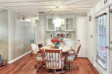 RARE OPPORTUNITY! TRUE LAKEFRONT with DOCK.  Ideal Central - photo 29