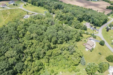 Build your dream home on this beautiful 2.86 acres wooded lot in - photo 13