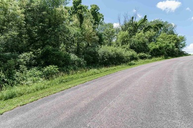Build your dream home on this beautiful 2.86 acres wooded lot in - photo 15
