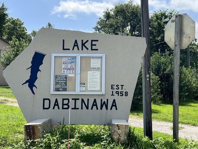 In the language of the Ojibwa tribe, Dabinawa is said to mean *a - photo 17