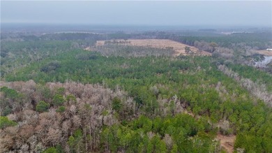 (private lake, pond, coastal) Acreage For Sale in Other Georgia