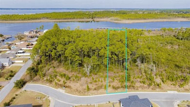 BUILD YOUR DREAM HOME ON THE VACANT BAYOU PRESERVE LOT #5 AT - photo 1