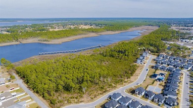 BUILD YOUR DREAM HOME ON THE VACANT BAYOU PRESERVE LOT #5 AT - photo 4