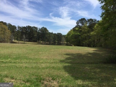 (pending lake) Acreage For Sale in Fayetteville Georgia
