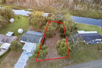 Lake Lot For Sale in Leesburg, Florida