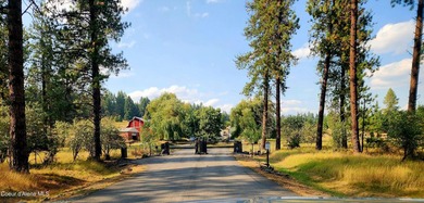 Last lot in Fernan Lake Estates! This beautiful countryside - photo 4
