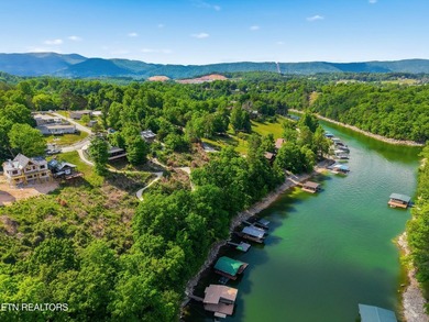 Experience the best of East Tennessee lake living with this - photo 34