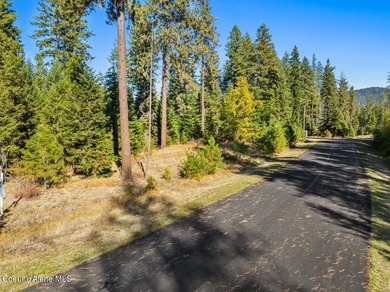 Last lot in Fernan Lake Estates! This beautiful countryside - photo 9