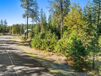 Last lot in Fernan Lake Estates! This beautiful countryside - photo 10