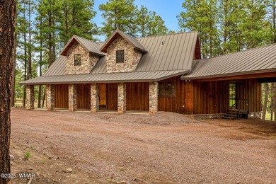 Stunning 3-Bedroom Chalet Retreat in Alpine, Arizona Presenting - photo 10