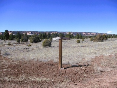 Lake Acreage For Sale in Ramah, New Mexico