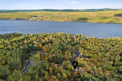 Discover unparalleled luxury at Camp Woodlands on Long Lake, an - photo 29