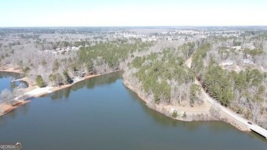 (private lake, pond, creek) Acreage For Sale in Hampton Georgia