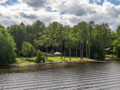 Discover unparalleled luxury at Camp Woodlands on Long Lake, an - photo 34
