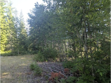 Discover your perfect forest vacation getaway! Nestled on 0.66 - photo 13