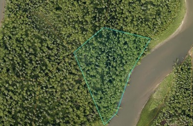 Rare opportunity to own 3 acres of riverfront land on the Chena - photo 1
