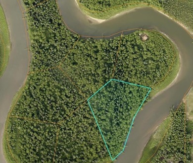 Rare opportunity to own 3 acres of riverfront land on the Chena - photo 2