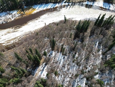 Rare opportunity to own 3 acres of riverfront land on the Chena - photo 3