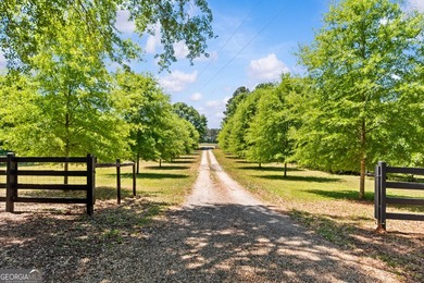It's what everyone is searching for-land, established - photo 4