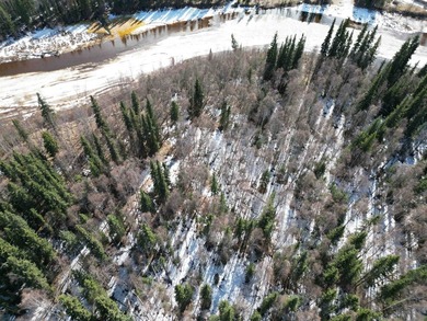 Rare opportunity to own 3 acres of riverfront land on the Chena - photo 5