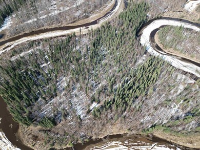 Rare opportunity to own 3 acres of riverfront land on the Chena - photo 6