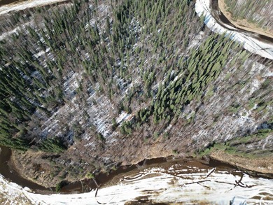 Rare opportunity to own 3 acres of riverfront land on the Chena - photo 7