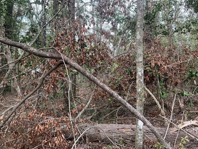 Suwannee River Lot For Sale in Live Oak Florida