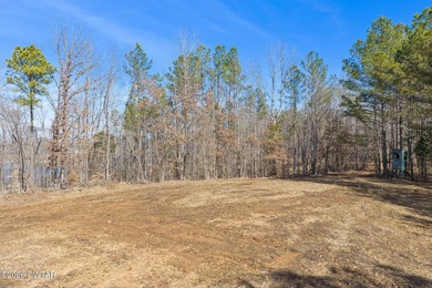 Prime lakefront water property with 1,000 +/- feet of shoreline - photo 11