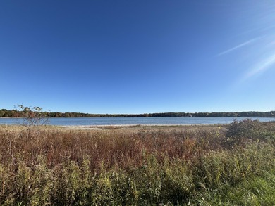 Picnic Lake / Cedar Lake Club Lot For Sale in Fountain Michigan