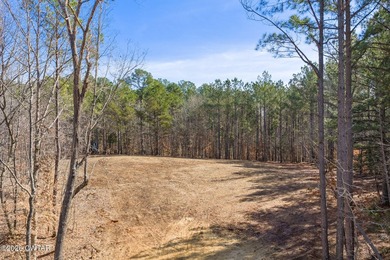 Prime lakefront water property with 1,000 +/- feet of shoreline - photo 12