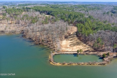 Prime lakefront water property with 1,000 +/- feet of shoreline - photo 14