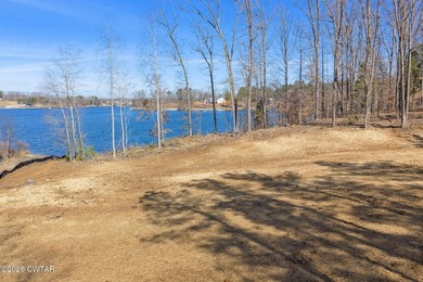 Prime lakefront water property with 1,000 +/- feet of shoreline - photo 15