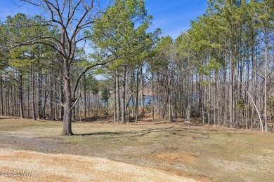 Prime lakefront water property with 1,000 +/- feet of shoreline - photo 18