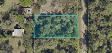 Lehigh Acres Area Lot For Sale in Alva Florida