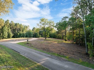 Prime lakefront water property with 1,000 +/- feet of shoreline - photo 22