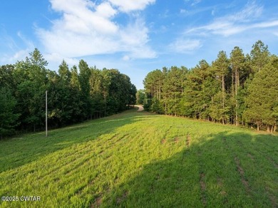 Prime lakefront water property with 1,000 +/- feet of shoreline - photo 26