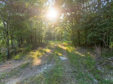 Prime lakefront water property with 1,000 +/- feet of shoreline - photo 29