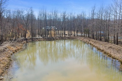 Prime lakefront water property with 1,000 +/- feet of shoreline - photo 36