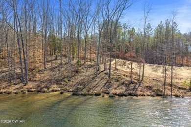 Prime lakefront water property with 1,000 +/- feet of shoreline - photo 38