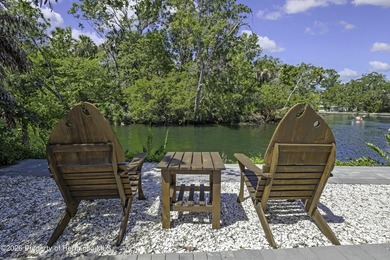 Weeki Wachee Gardens Area Home For Sale in Weeki Wachee Florida