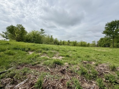 2.5 Acre off water Lot in Lake Subdivision! - photo 12