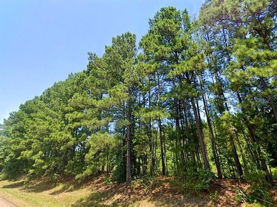 Located just 3 miles Southwest of Avinger, Tx with ample - photo 3