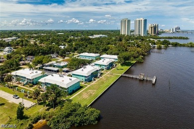 Riverfront living and downtown convenience all in one. This - photo 22