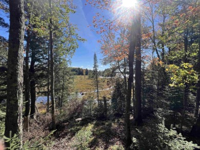(private lake, pond, creek) Acreage For Sale in Watersmeet Michigan